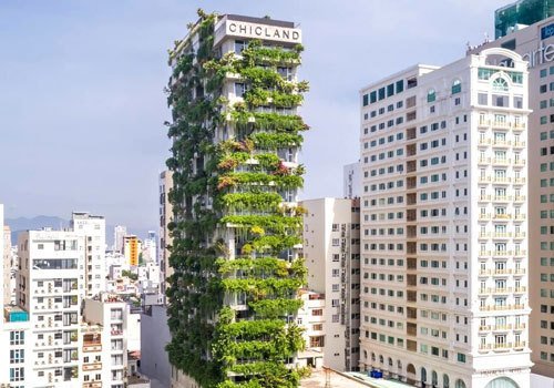 Tư vấn giám sát